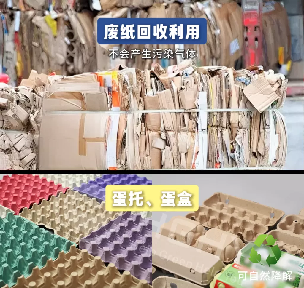 2025 年乐动网页版迎爆发期!政策 + 市场双轮驱动,绿色包装成产业新引擎插图4 2025 年乐动网页版迎爆发期!政策 + 市场双轮驱动,绿色包装成产业新引擎插图4