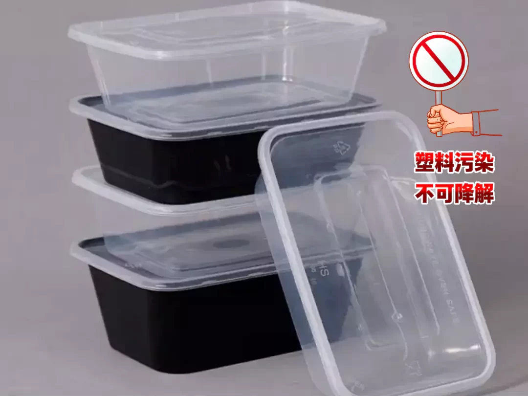 2025 年乐动网页版迎爆发期!政策 + 市场双轮驱动,绿色包装成产业新引擎插图1 2025 年乐动网页版迎爆发期!政策 + 市场双轮驱动,绿色包装成产业新引擎插图1