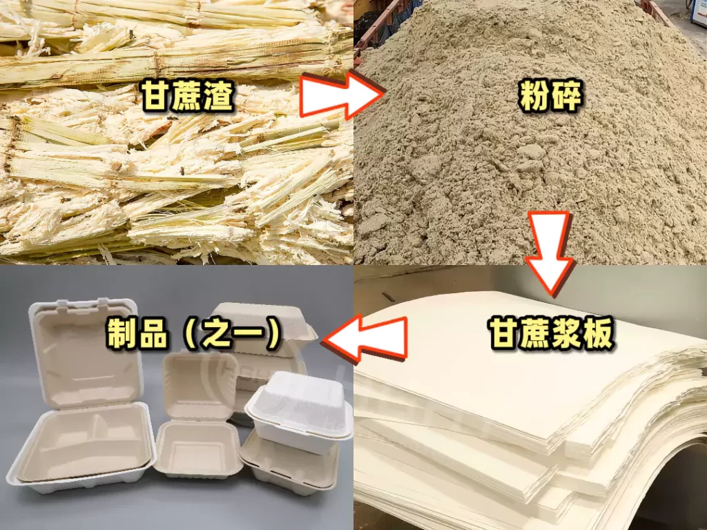 欧盟 PPWR 新规落地!乐动网页版成中国企业出海合规 “最优解”插图1 欧盟 PPWR 新规落地!乐动网页版成中国企业出海合规 “最优解”插图1