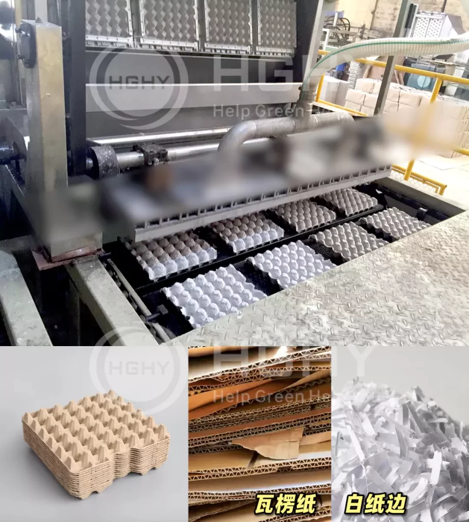 工艺赋能品质:乐动网页版鸡蛋托的场景化革新插图3 工艺赋能品质:乐动网页版鸡蛋托的场景化革新插图3