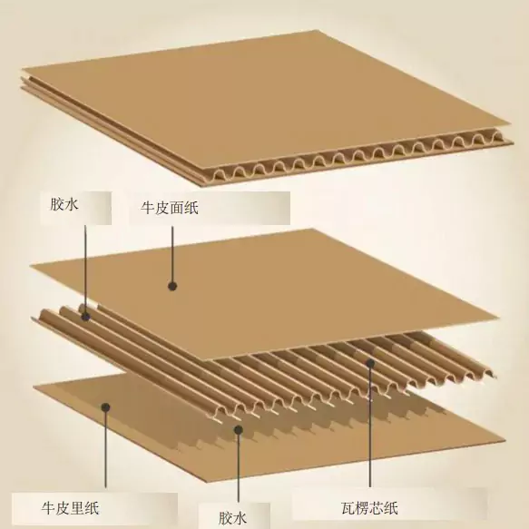 3分钟读懂乐动网页版!与瓦楞纸箱的优劣对决插图1 3分钟读懂乐动网页版!与瓦楞纸箱的优劣对决插图1