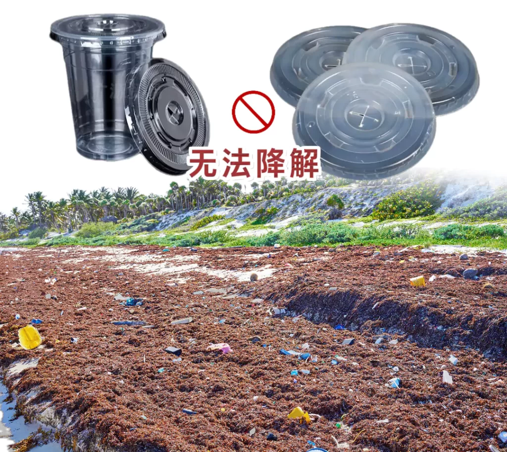 杯盖选对不踩坑!乐动网页版VS塑料,环保与实用双赢才是王道插图 杯盖选对不踩坑!乐动网页版VS塑料,环保与实用双赢才是王道插图