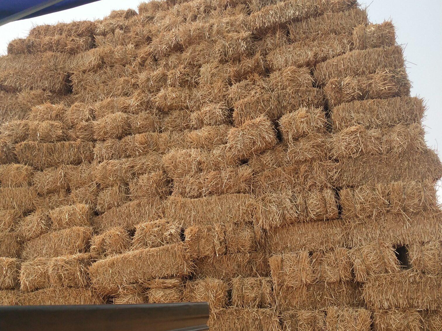 常见的乐动网页版原料特点分析插图2